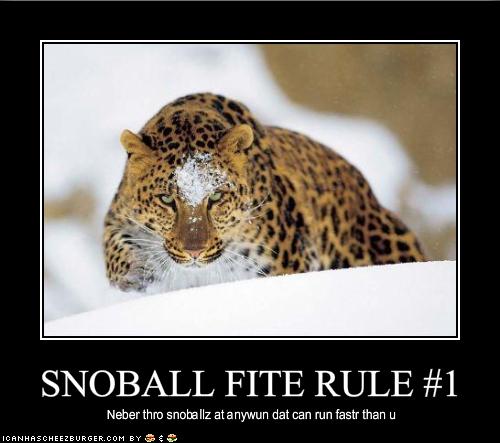 funny-pictures-rule-number-one-for-throwing-snowballs.jpg